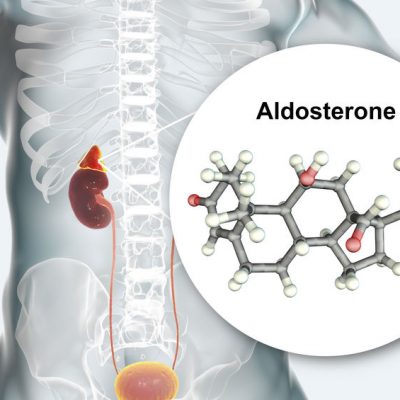 Aldosteron - badanie laboratoryjne