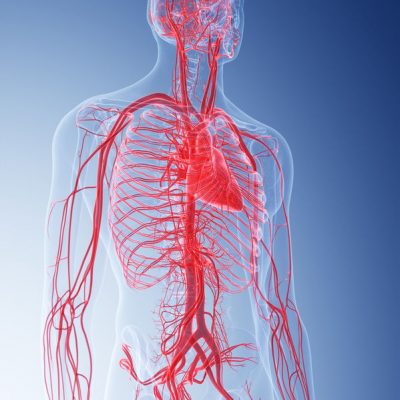Doppler jamy brzusznej (aorty i tętnic trzewnych)