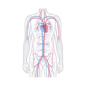 Doppler żył/tętnic wlotu klatki piersiowej
