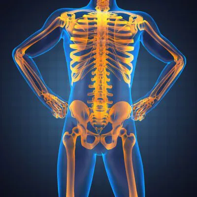 mri- kości z podziałem na okolice anatomiczne bez i po kontraście cm