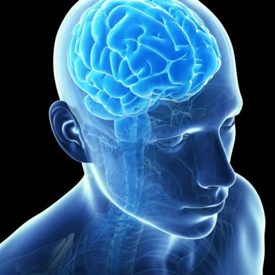MRI лицевого черепа до та після введення контрасту (CM)