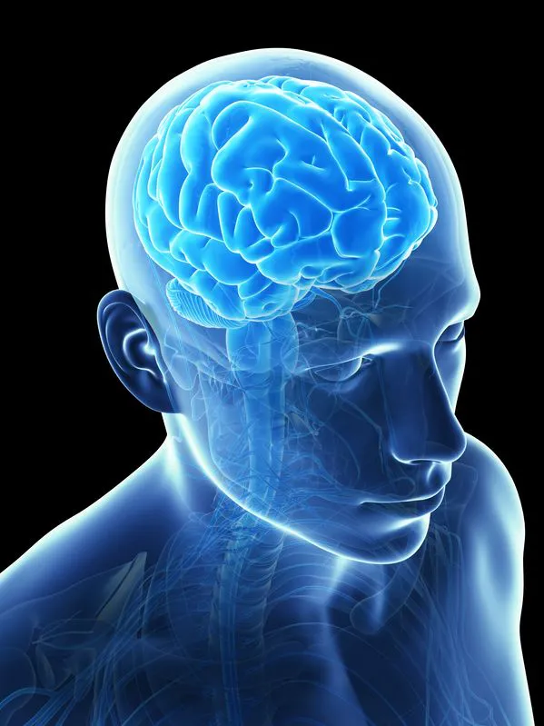 MRI лицевого черепа до та після введення контрасту (CM)