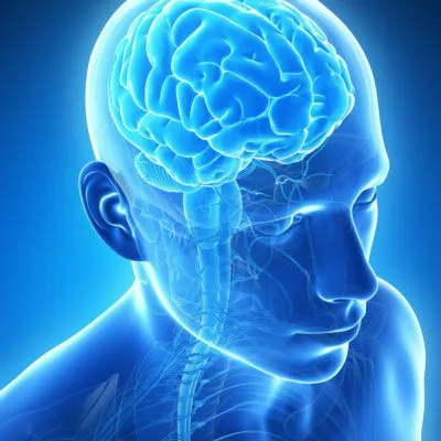MRI лицевого черепа без контрасту (без CM)