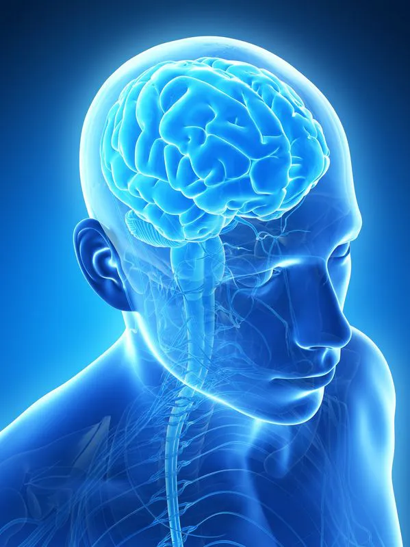 MRI лицевого черепа без контрасту (без CM)