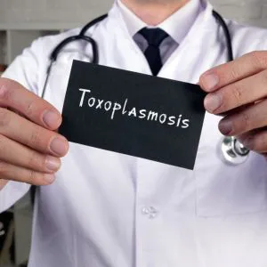 Toksoplazmoza IgM - badanie laboratoryjne